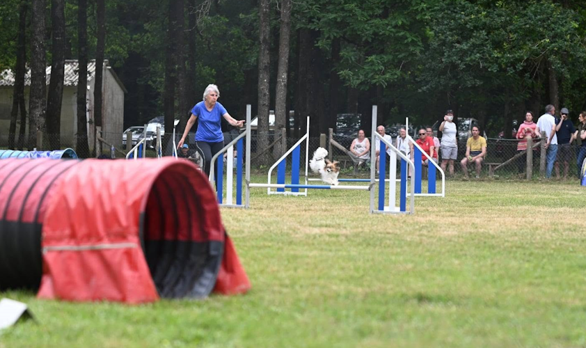 Agility avec papillon