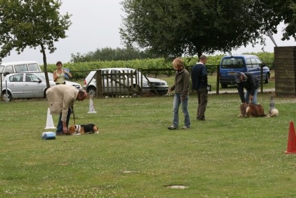 Cours collectif Education