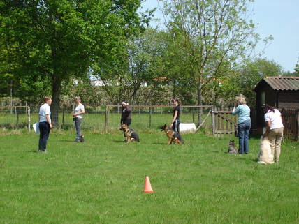 Exercice éducation