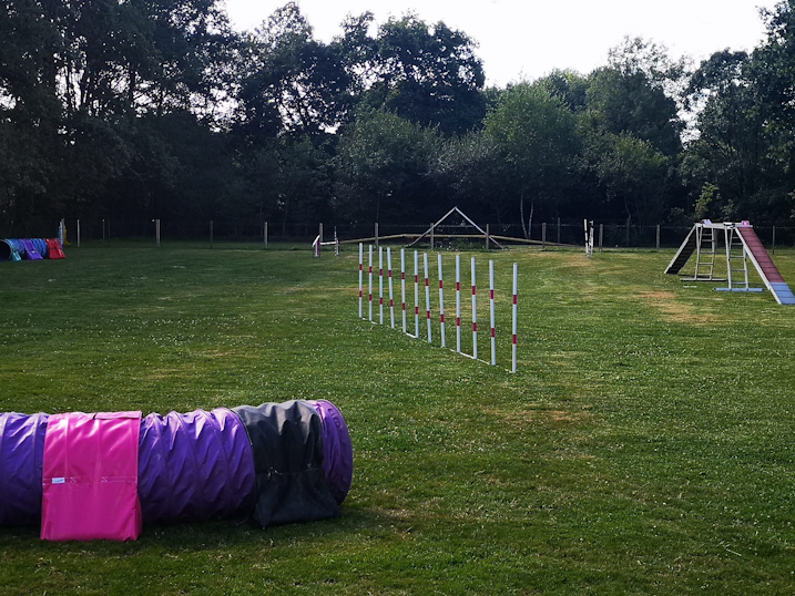 Terrain agility